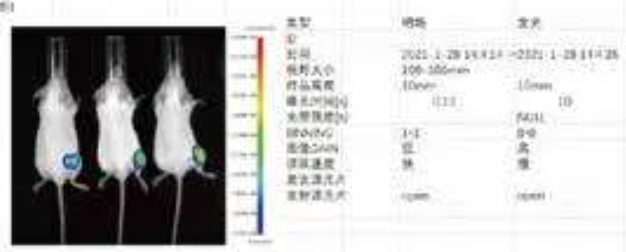 screenshot_2025-05-23_08-43-02.png